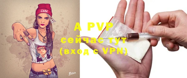 стафф Грязовец