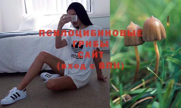 COCAINE Богородск
