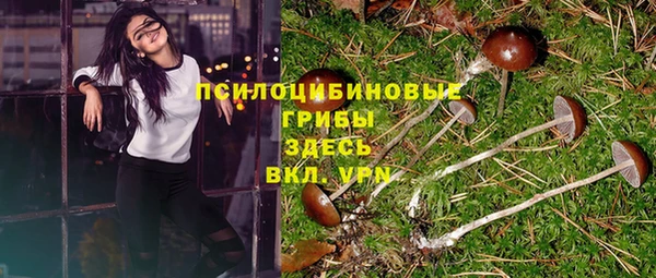гидра Бронницы