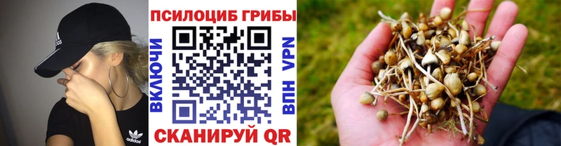 Галлюциногенные грибы прущие грибы Верхотурье