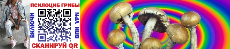 Псилоцибиновые грибы Magic Shrooms  ОМГ ОМГ зеркало  Верхотурье  дарнет шоп 