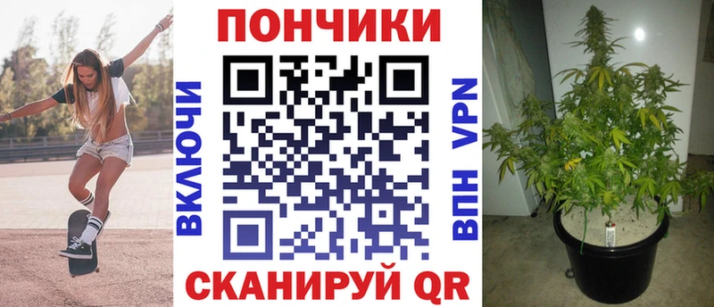где купить наркоту  нарко площадка клад  Каннабис Bruce Banner  Верхотурье 